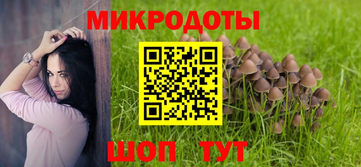 Будённовск  Псилоцибиновые грибы прущие грибы  Вход с VPN 
